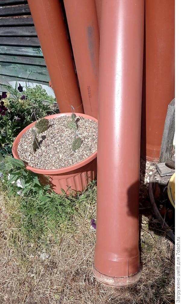 Канализационная труба-кашпо