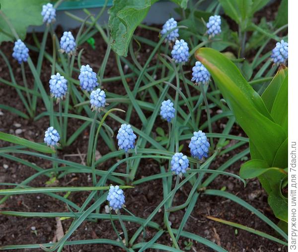 Более простые