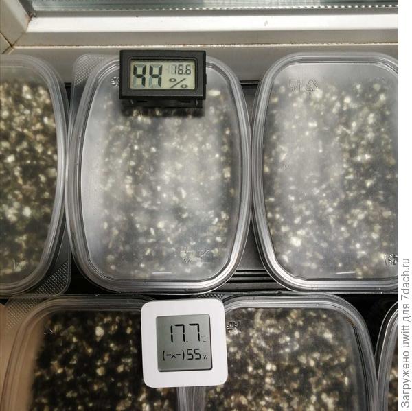 Разница в температуре на моем подоконнике, термометры в комнате расходятся на 0,1 градуса