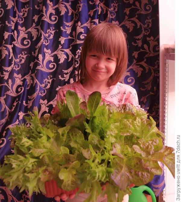 Милада с салатом в луковой ферме