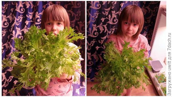 С пучком в стаканчике