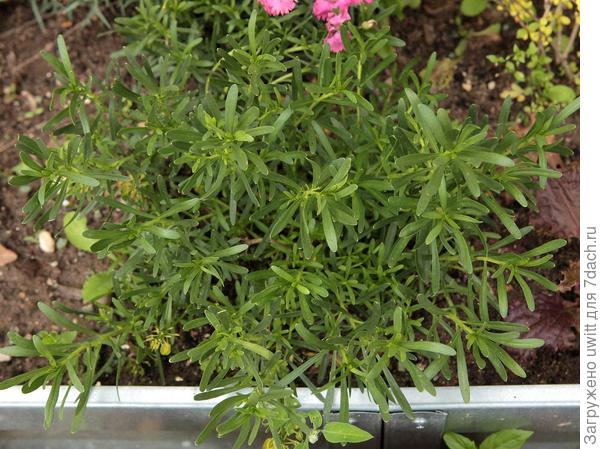 Через девять месяцев после посадки