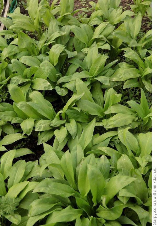 Пора бы попробовать