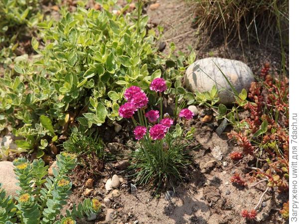 В общей посадке