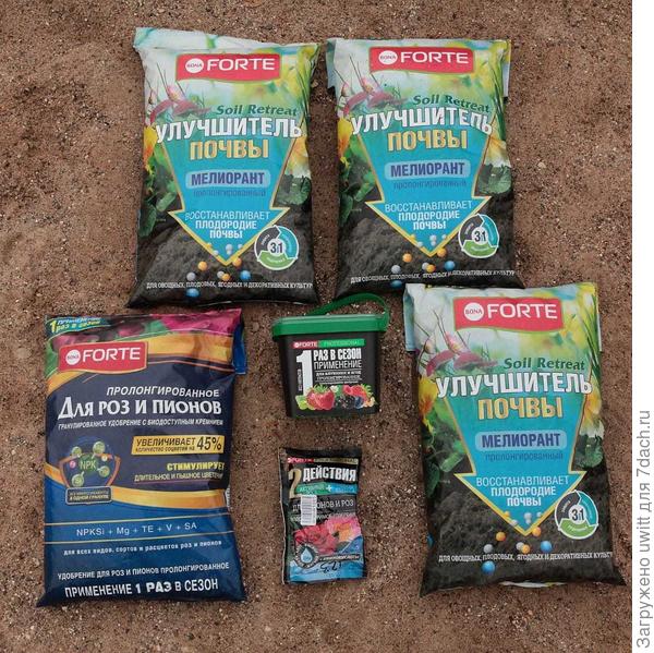 Любимая Bona Forte