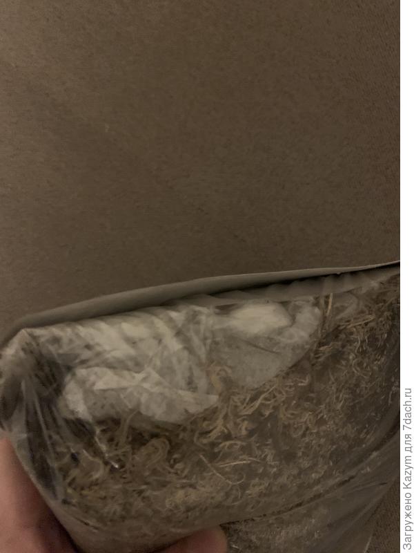 . Какие то  камушки. Это дренаж сверху -то что в мешочке белом ? Его надо сыпать внизу. Я просто забыл купить . Можно так ?