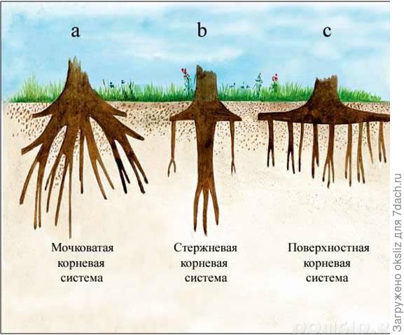 а вот ещё картинка