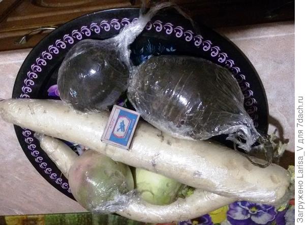 Часть урожая дайкона и редьки этого года