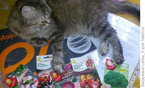 проверка секретных материалов