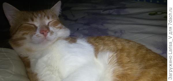 Отдыхааать)