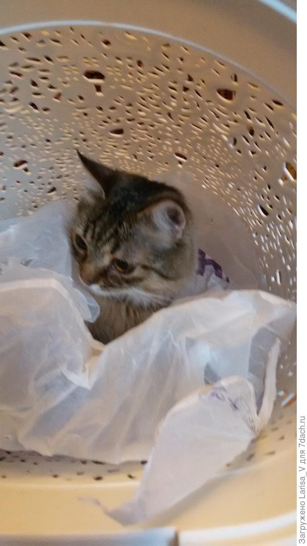 Мы очень любим пакетики)