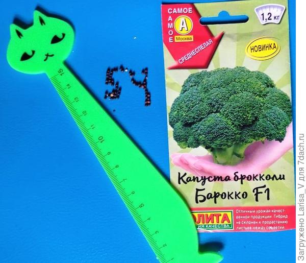семена "Барокко F1"