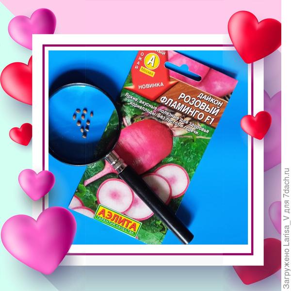 семена дайкона "Розовый фламинго F1"