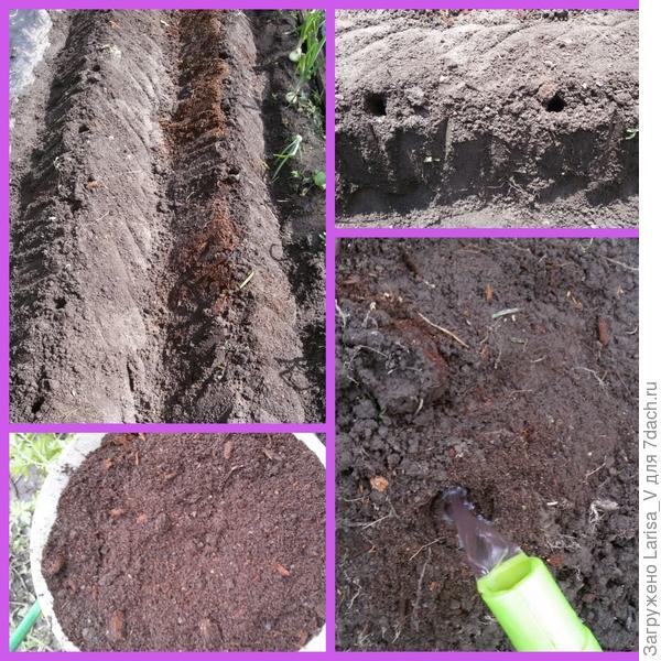 подготовка посадочного места