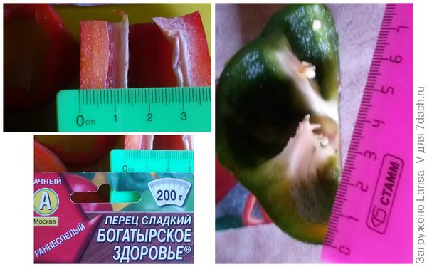 "Богатырское здоровье" в разрезе