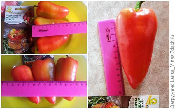 размеры "Дружных ребят"