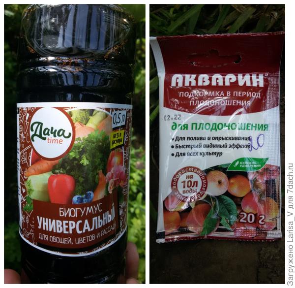 подкормки с поливом