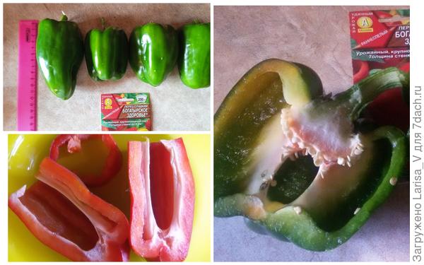 снятые плоды перца "Богатырское здоровье"