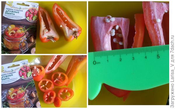 "Дружные ребята" в разрезе