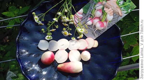 редис Немо на разрезе