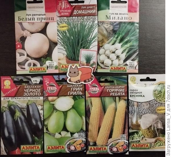 луки и другие овощи