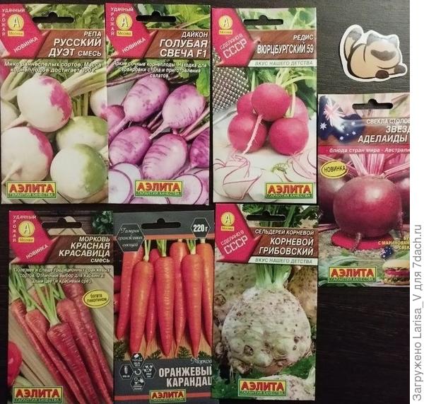 корнеплоды