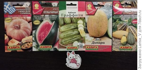 тыквенные: надеюсь, этот арбуз у меня обязательно вырастет