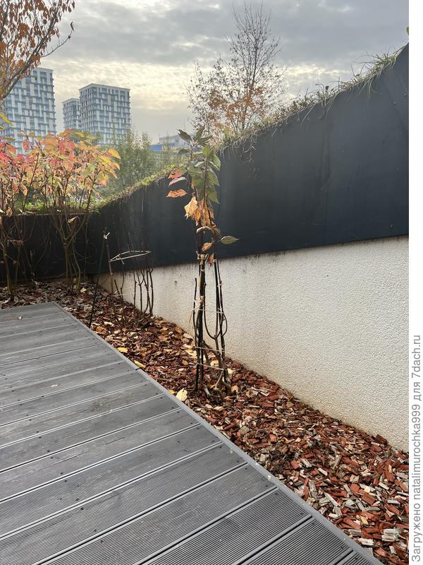 Здравствуйте! Вот, что у меня получилось.