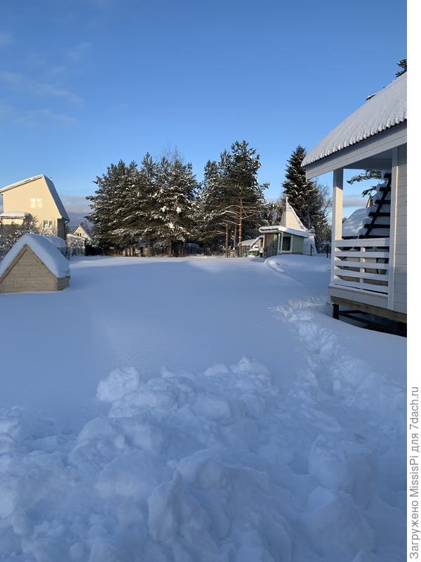 Зимнее фото