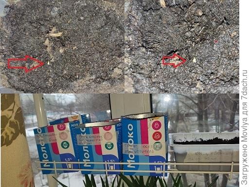 Вот он маленький крючок.