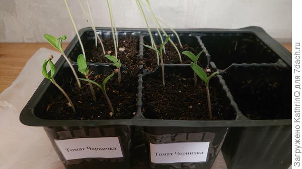 Восемь одного не ждут))) одна взошла попозже но к пересадке догнала остальных