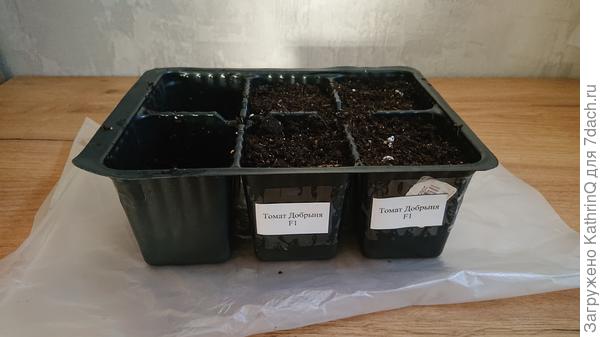 Добрыня после посадки