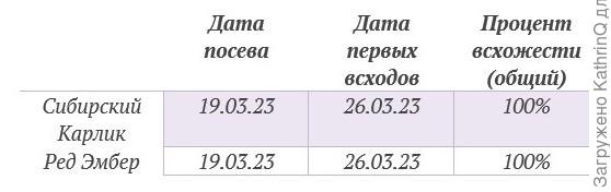 Всхожесть отличная!