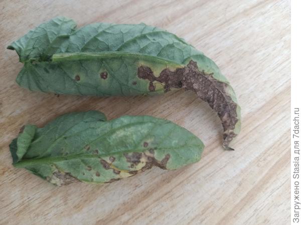 Это с обратной стороны..