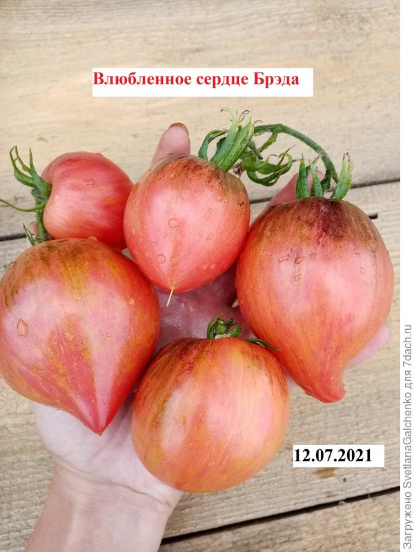 а вот и поспел