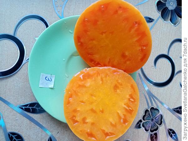 Брэндивайн в разрезе