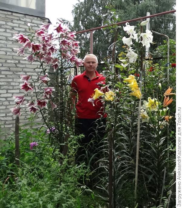 Бөкселерінде заттары бар қыздар.