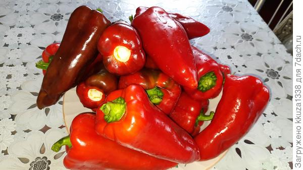 просто сладкий перец