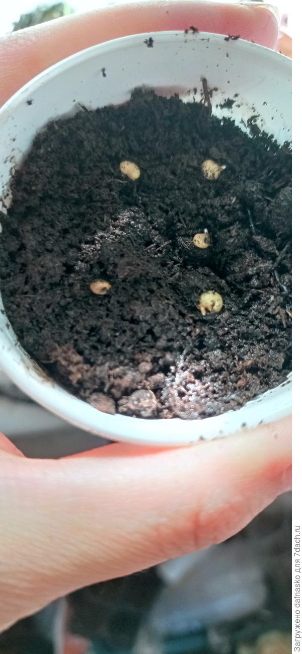 Фото от 9 апреля