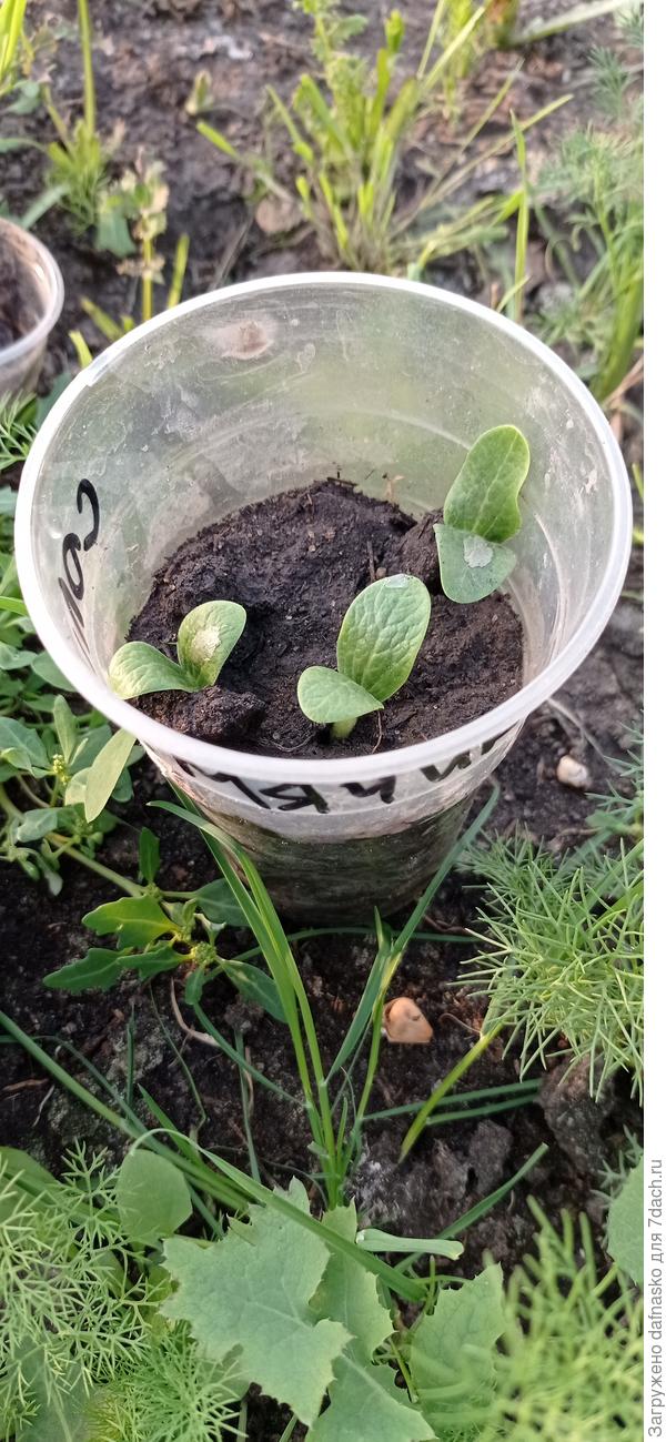 Дружная компания