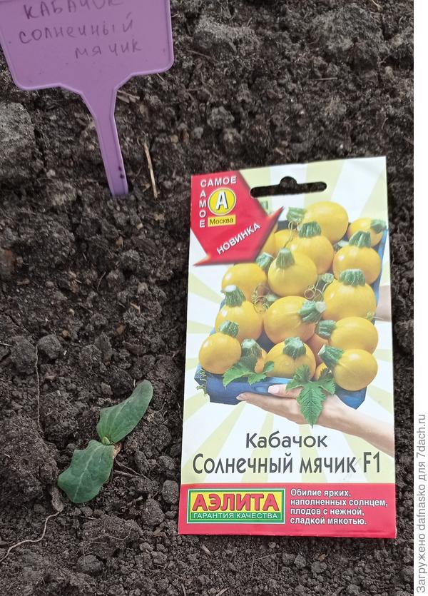 Посаженный в ОГ 15 мая