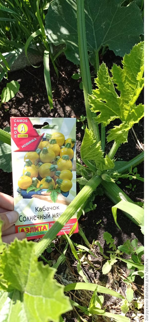 Фото от 12 июня