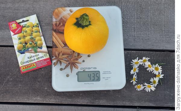 Мелкие плоды