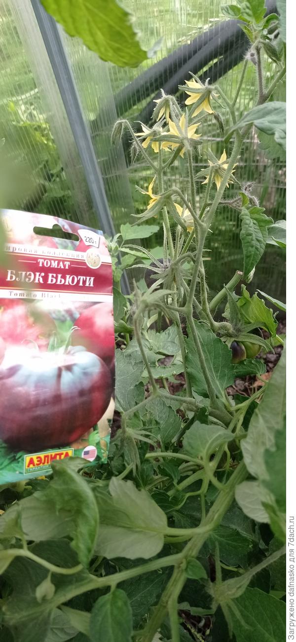 Фото от 25 июня