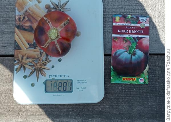 Фото от 9 августа