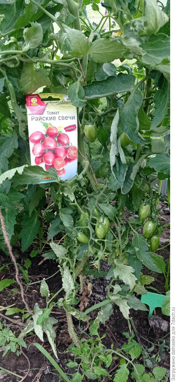 Фото от 25 июня