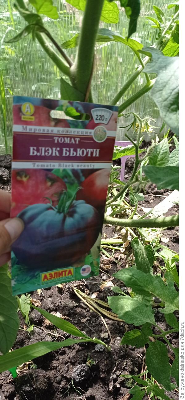 Фото от 12 июня