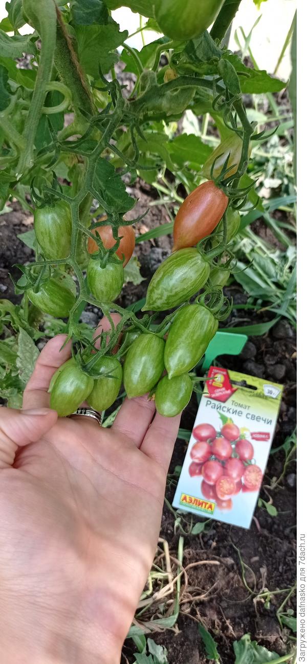 Фото от 8 июля