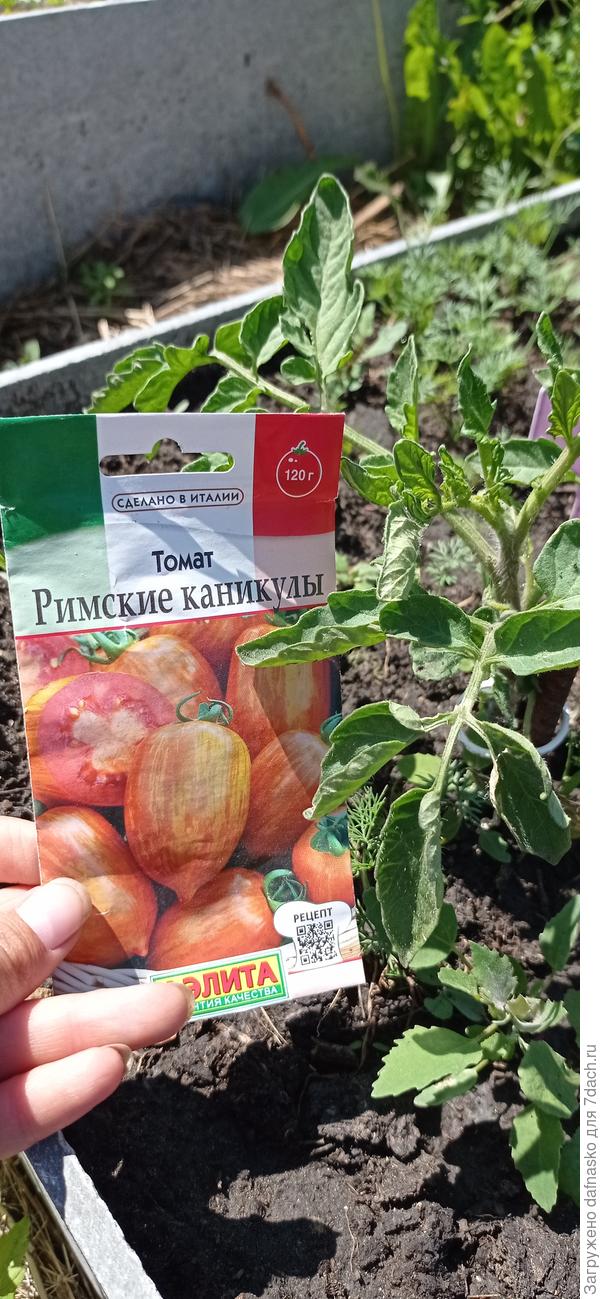 Фото от 12 июня