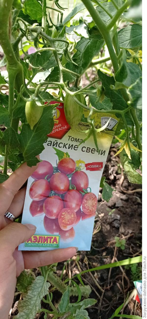 Фото от 12 июня